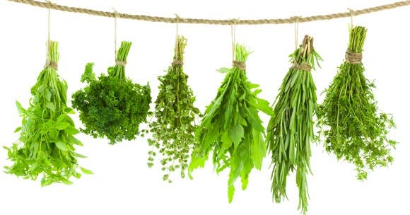 Gros plan sur les épices et aromates