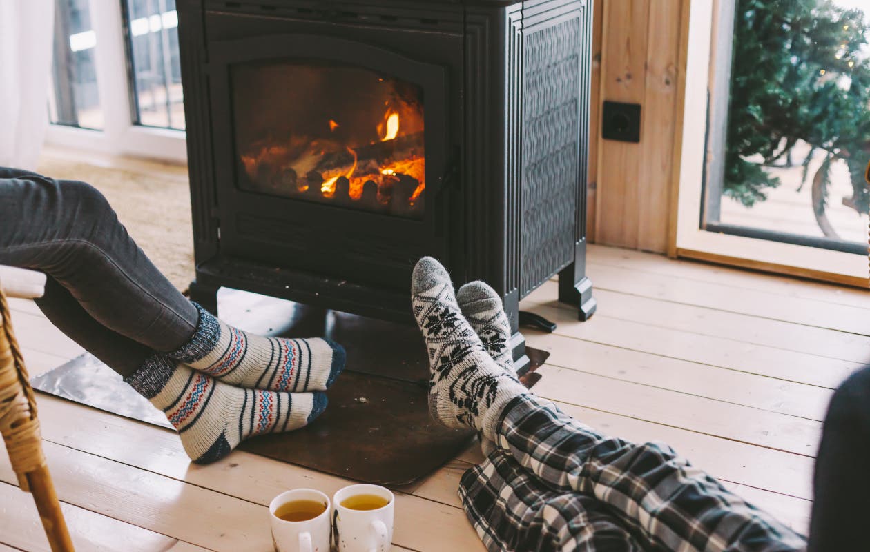 L'hiver : une saison d'hibernation