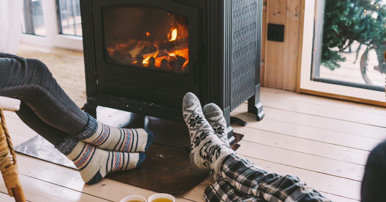 L'hiver : une saison d'hibernation
