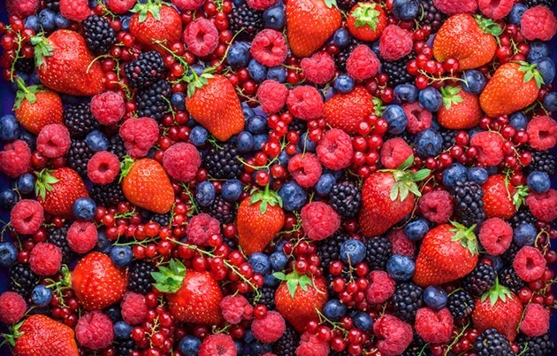 À nous les fruits de saison !