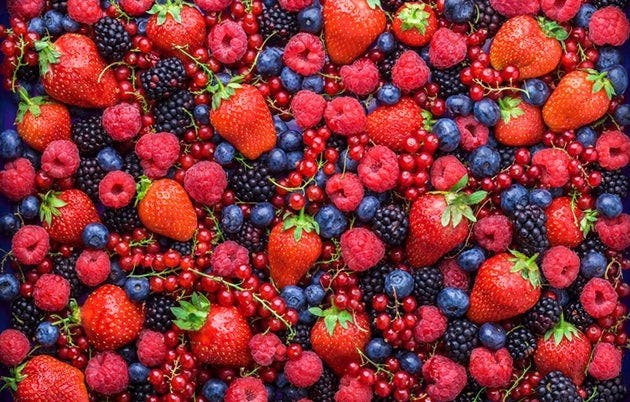 À nous les fruits de saison !