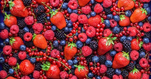 À nous les fruits de saison !