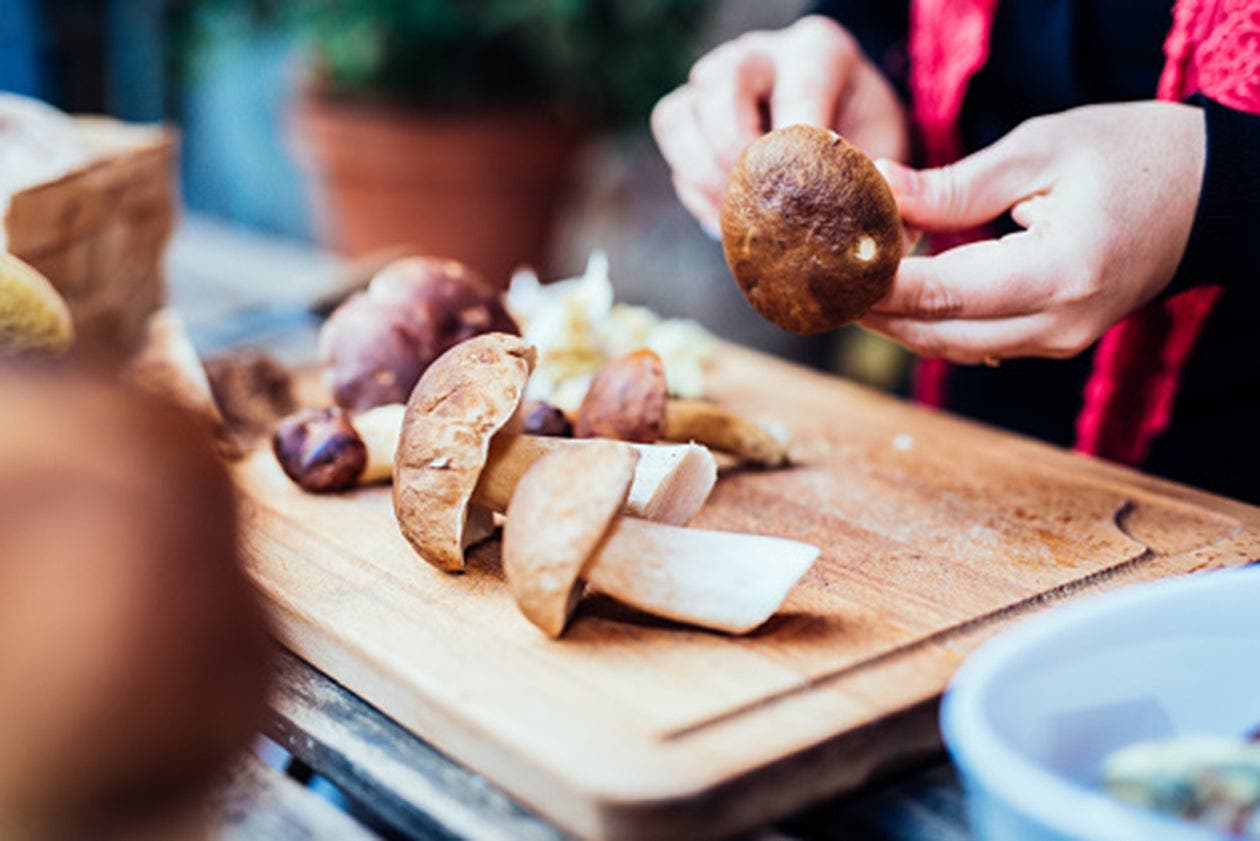 Savourez cet automne avec le champignon