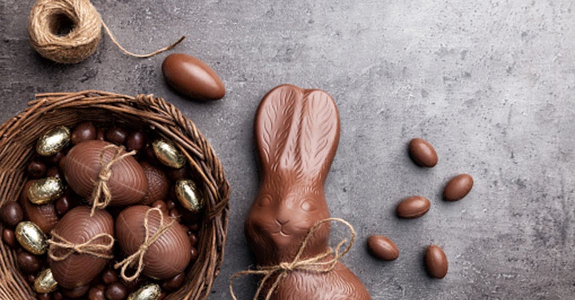 Tout sur le chocolat