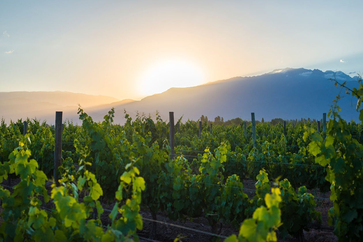 Nourrir sa relation avec la nature
