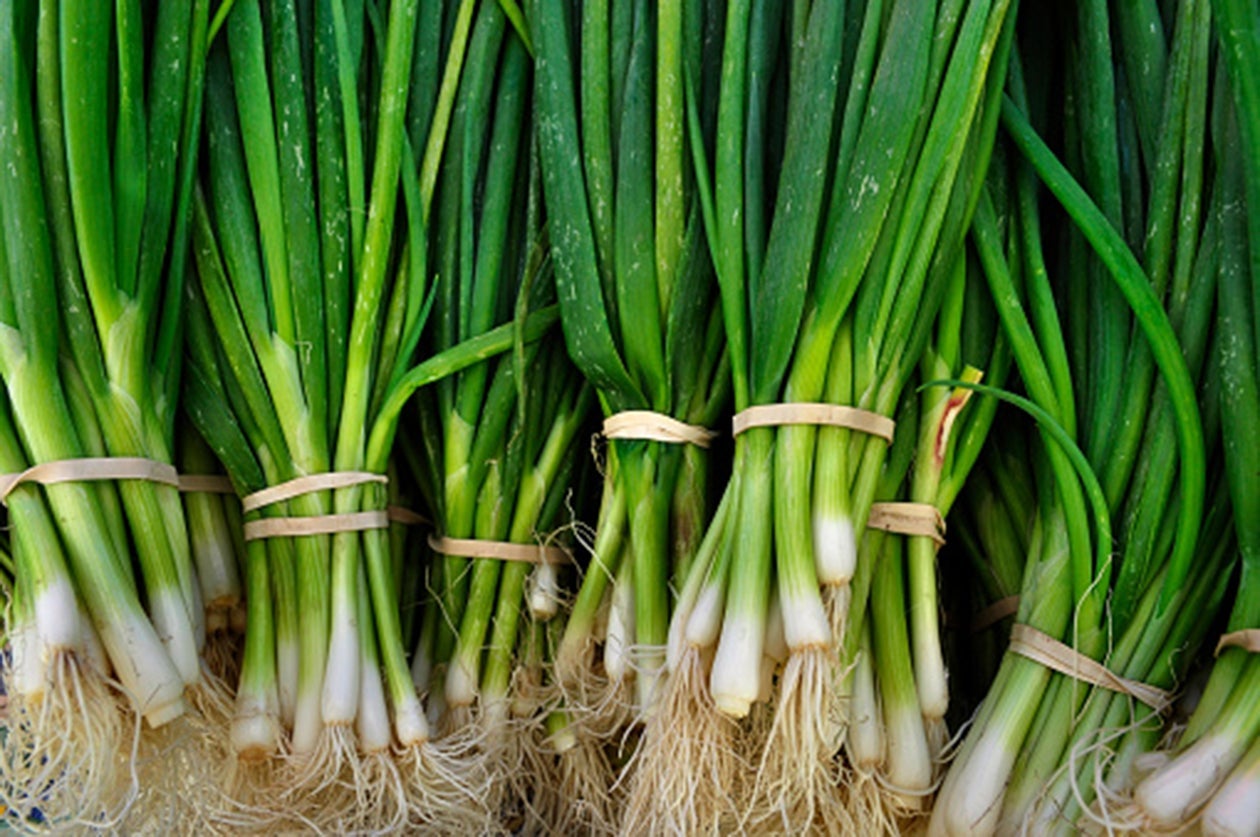 Oignons nouveaux : nos idées de recettes !