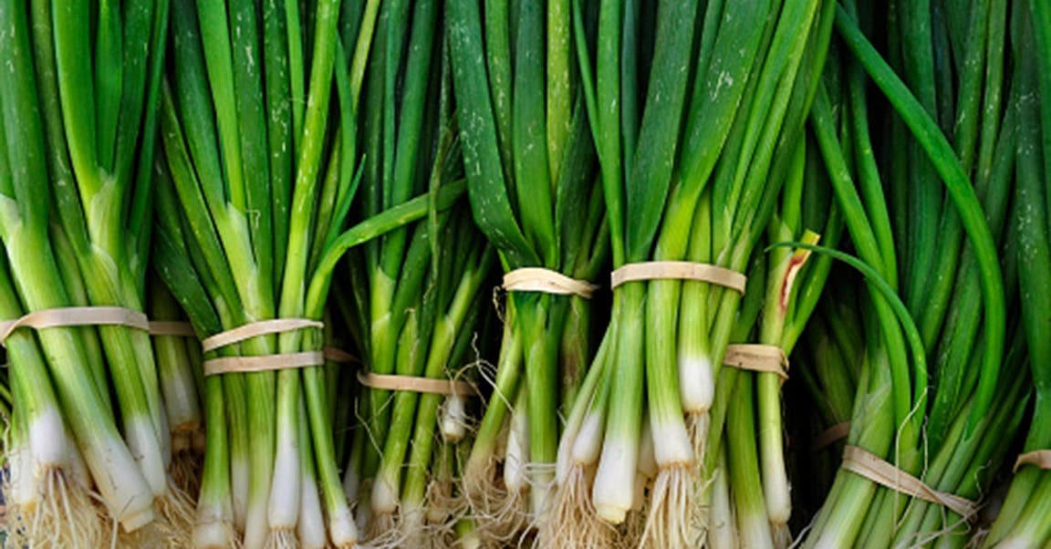 Oignons nouveaux : nos idées de recettes !