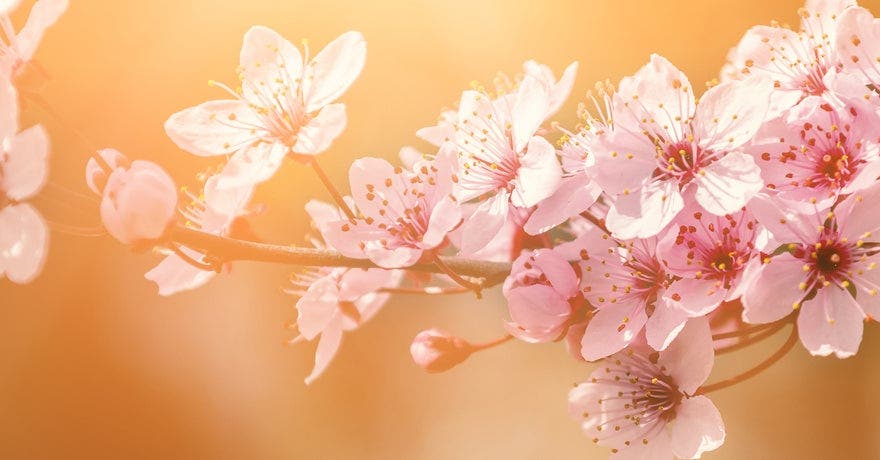 <b>J'apprends à positiver</b>