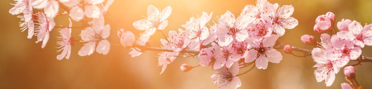 <b>J'apprends à positiver</b>
