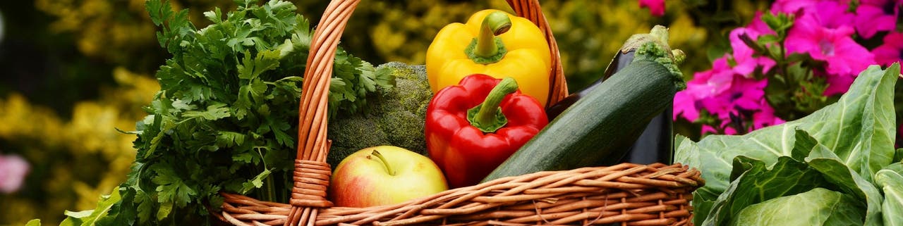 <b>Croquez les produits de l'été !</b>