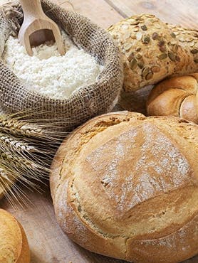Tout savoir sur le pain