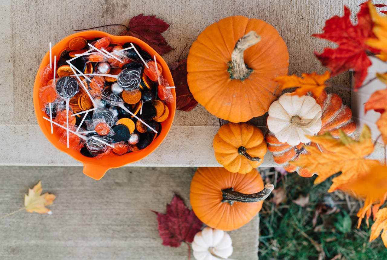 Citrouilles, courges et potimarrons, c’est la saison