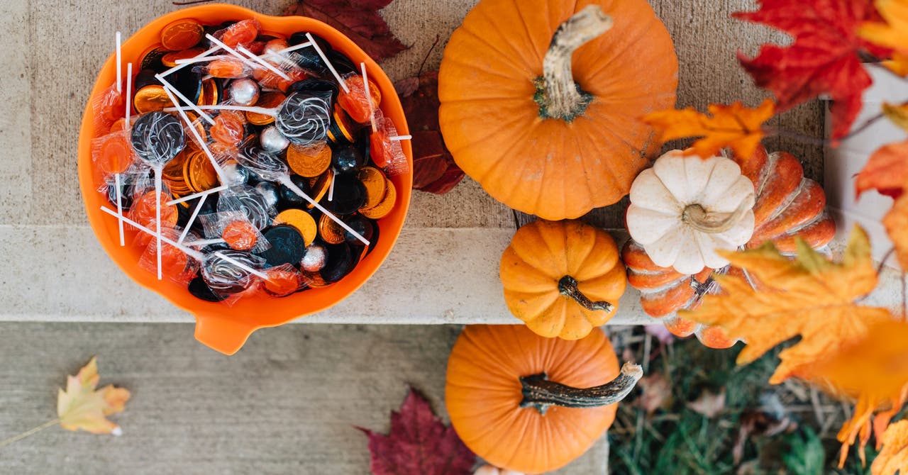 Citrouilles, courges et potimarrons, c’est la saison
