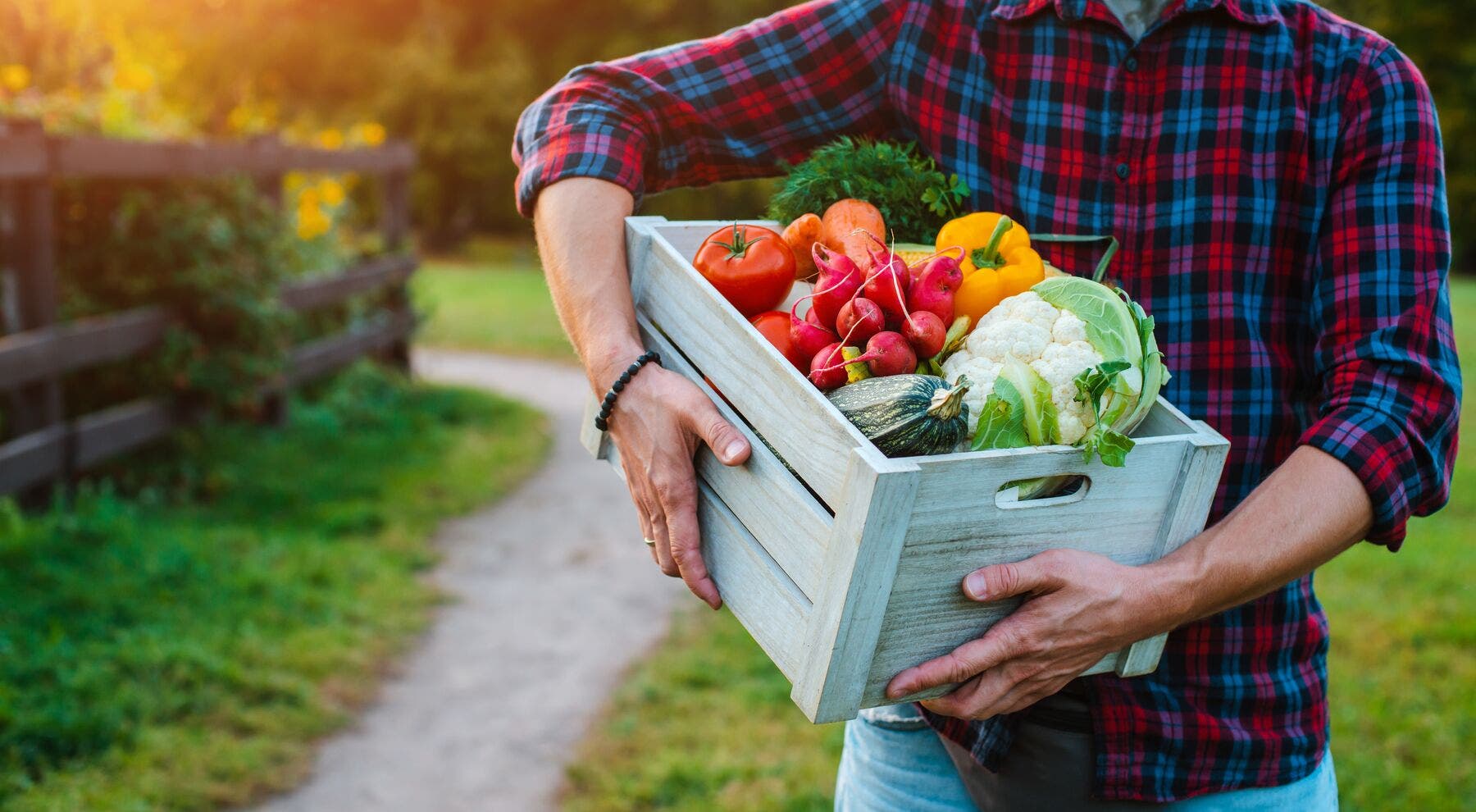 Les fruits et légumes moches