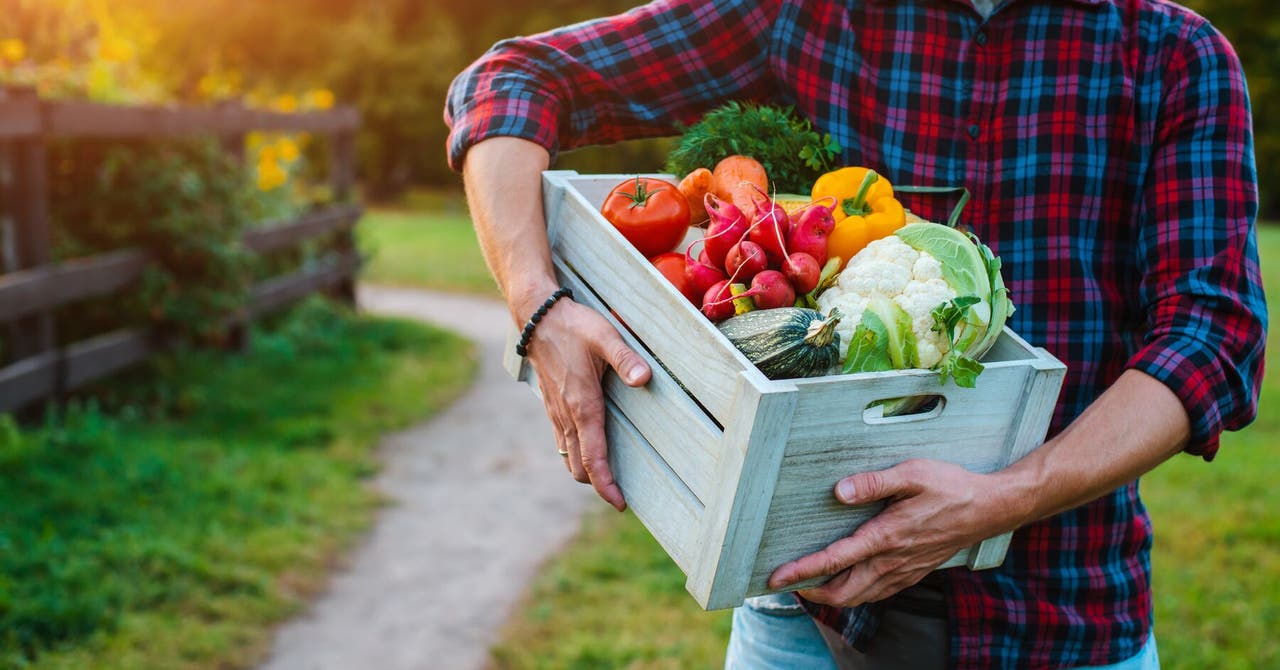 Les fruits et légumes moches