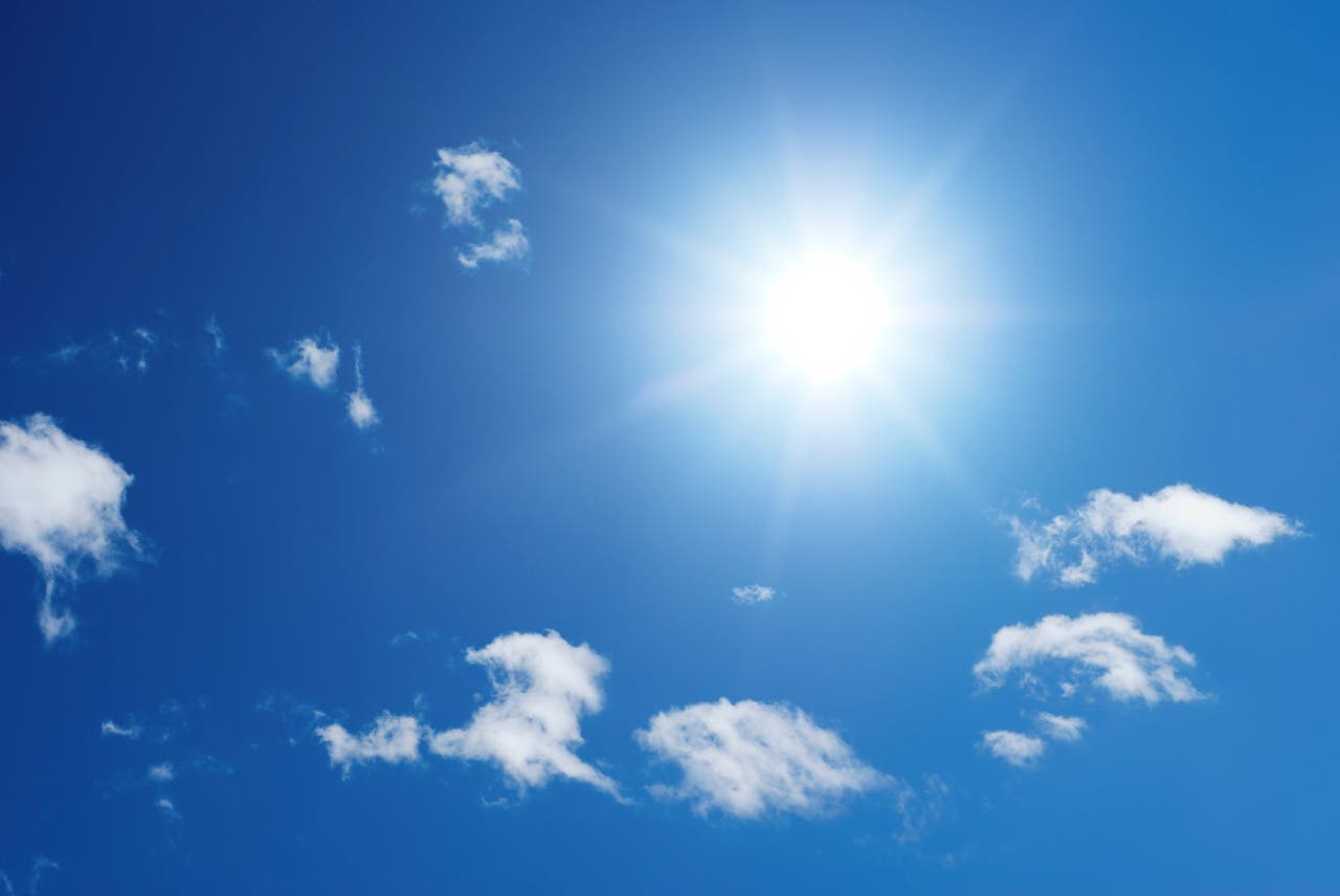 Un soleil pour s'épanouir