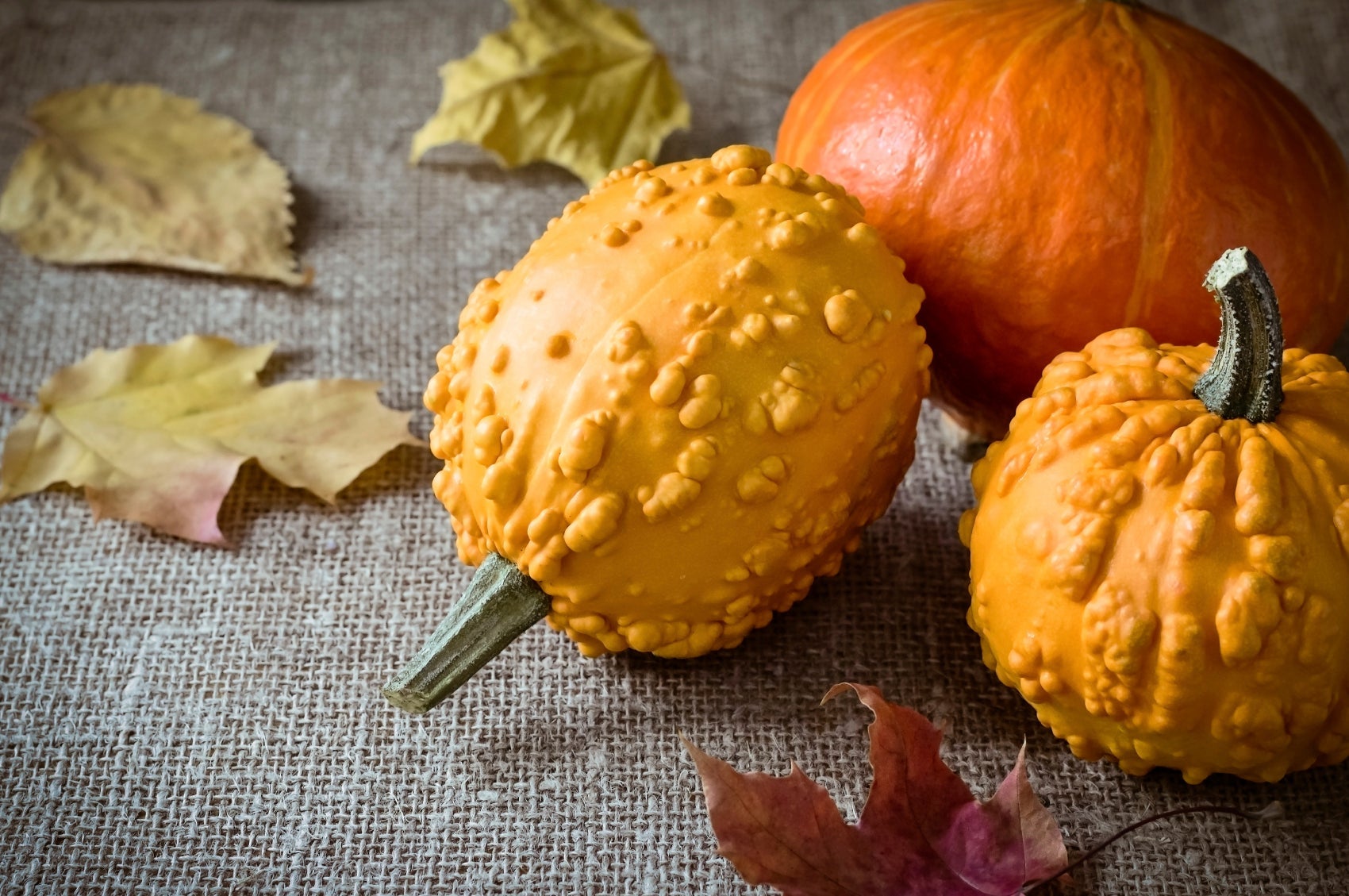 Fruits et légumes d’hiver