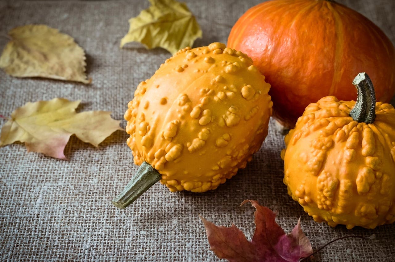 Fruits et légumes d’hiver