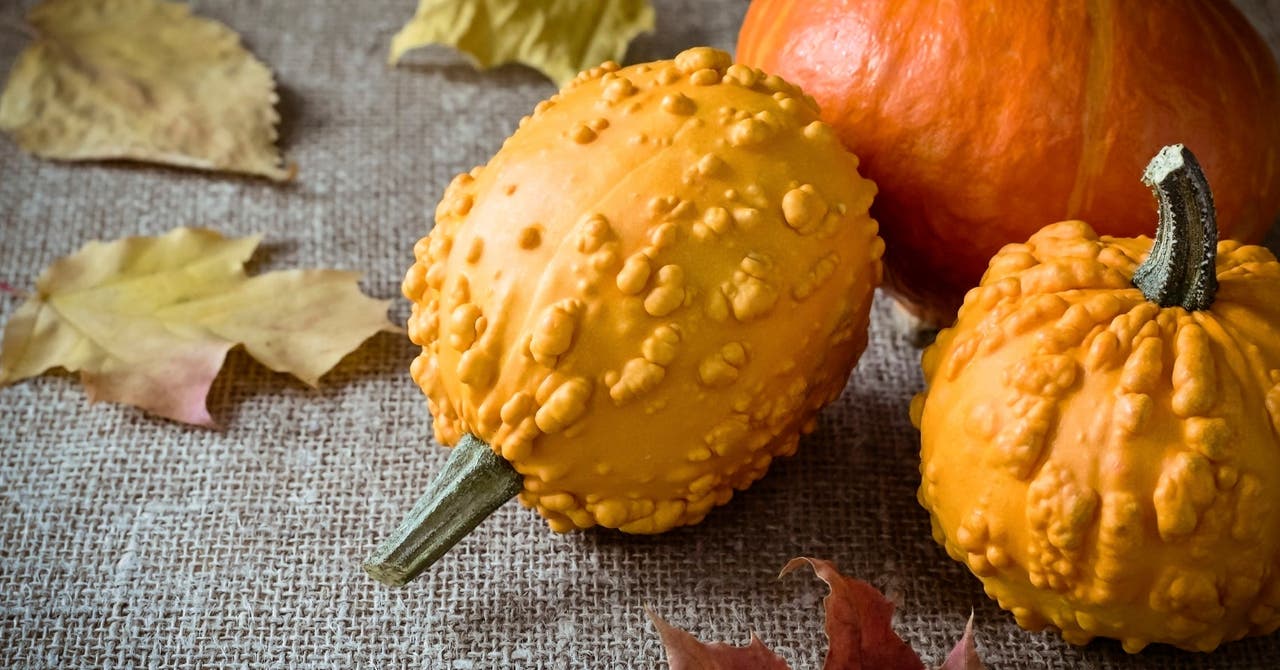 Fruits et légumes d’hiver