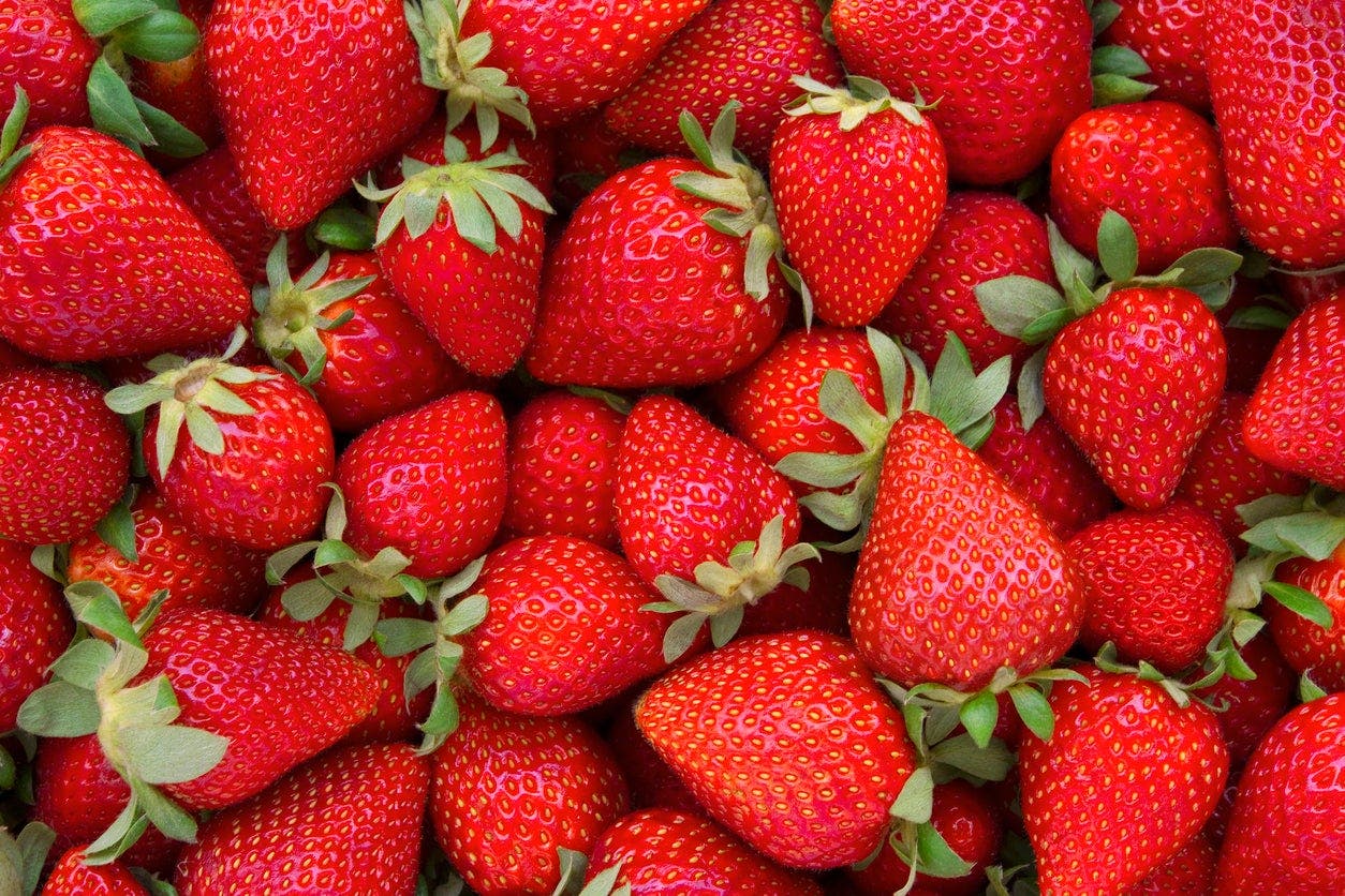 Envie de fraises ?