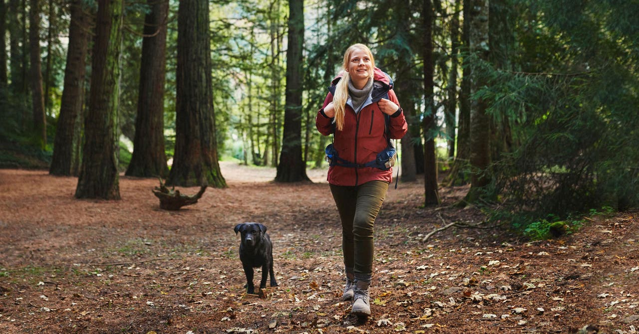 « Je voulais pouvoir de nouveau faire de longues promenades avec mon chien »