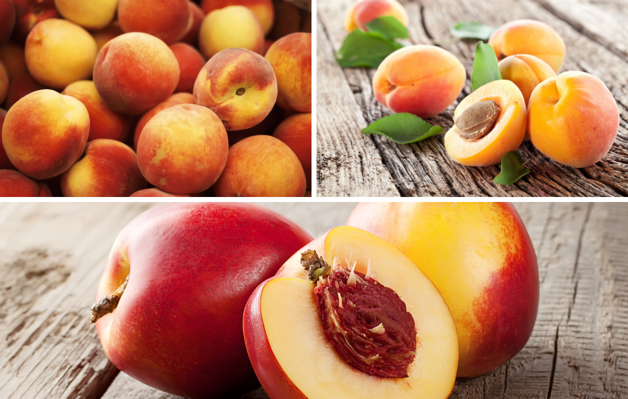 Pêches, abricots et nectarines