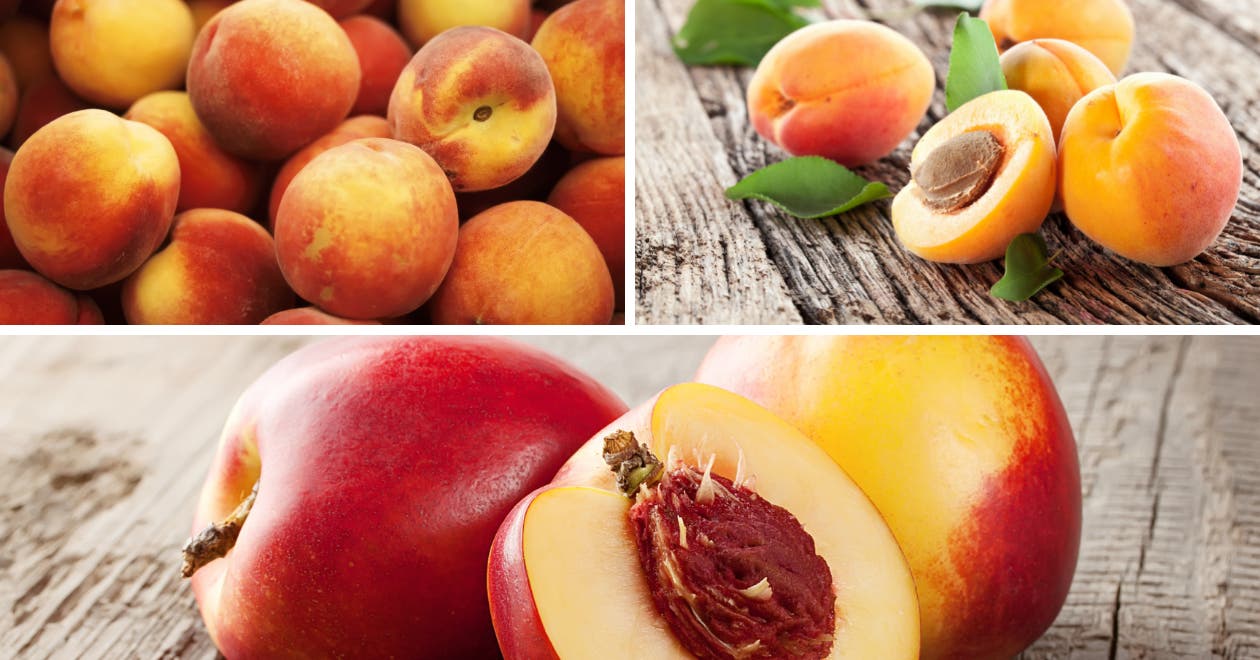 Pêches, abricots et nectarines