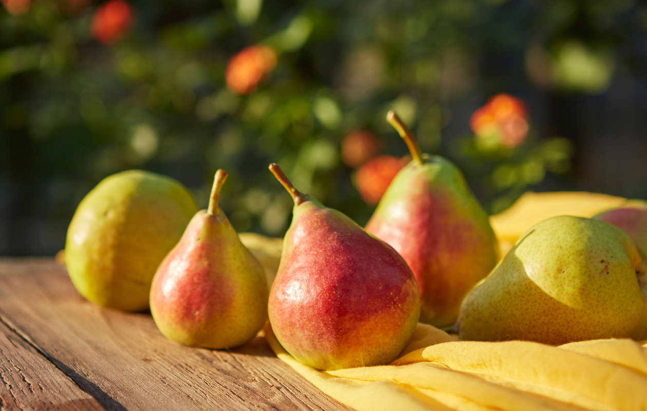 Les délices à la poire