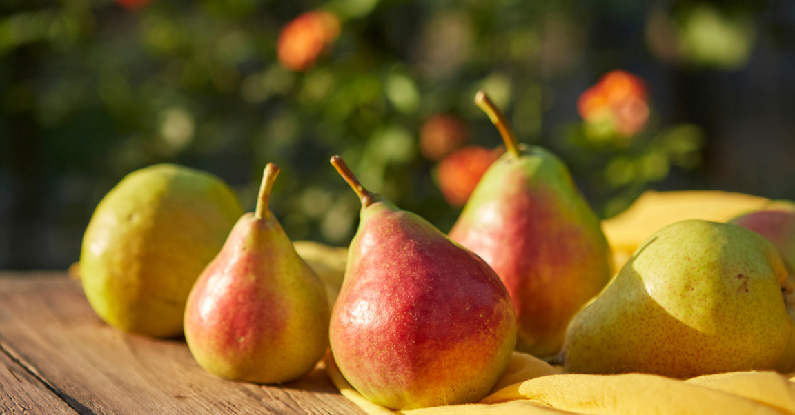 Les délices à la poire
