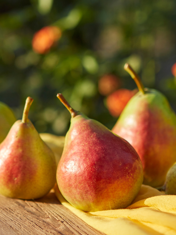 Les délices à la poire
