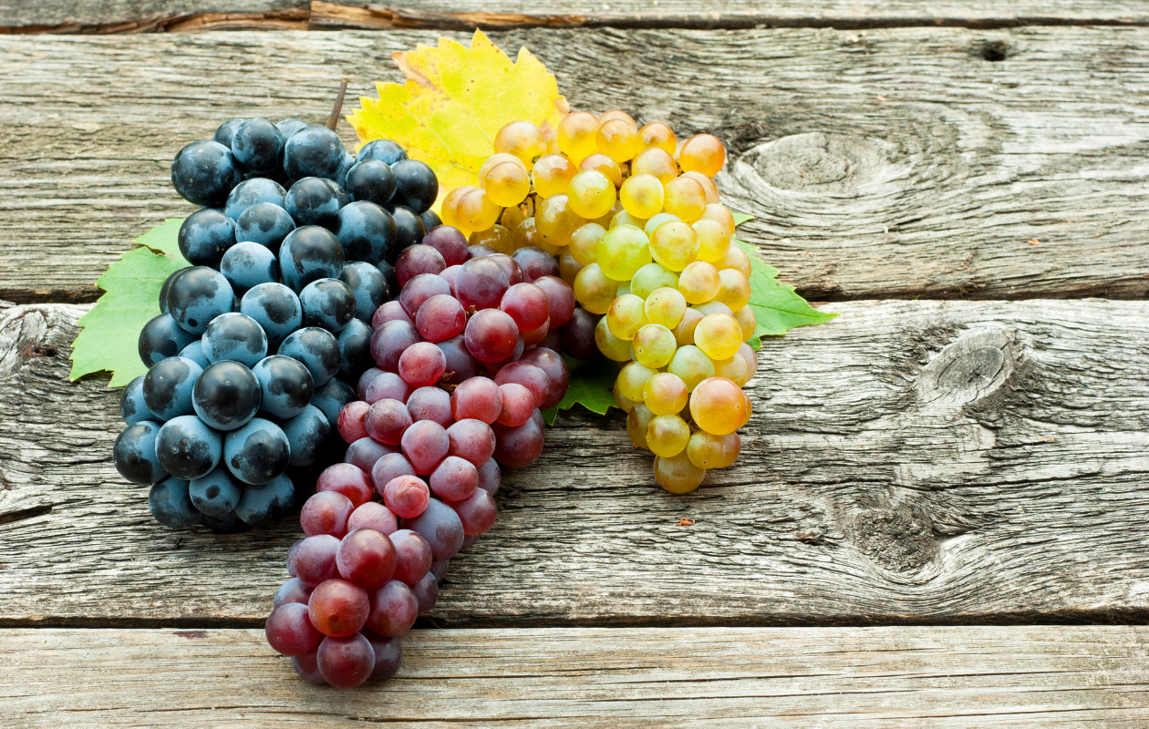 Le raisin, un fruit éclatant de saveur !