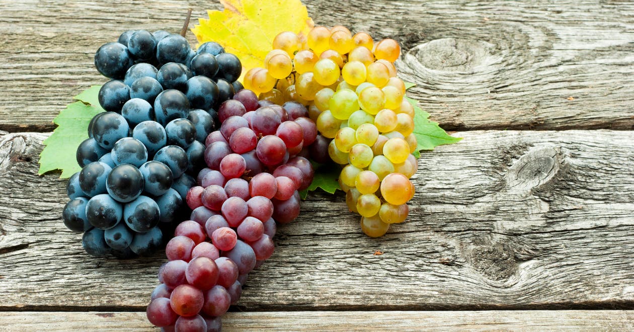 Le raisin, un fruit éclatant de saveur !