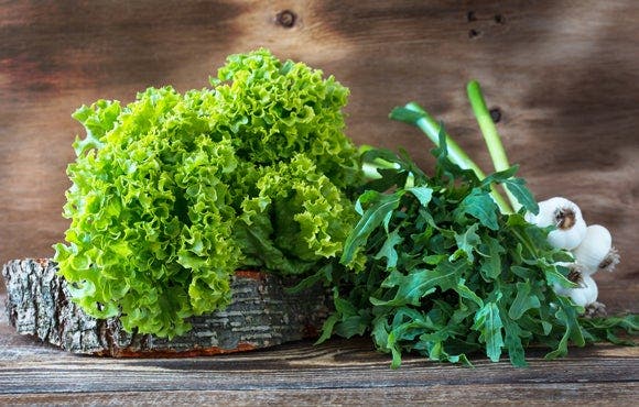 Comment mieux conserver ses salades ?