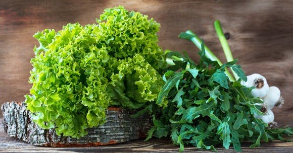 Comment mieux conserver ses salades ?