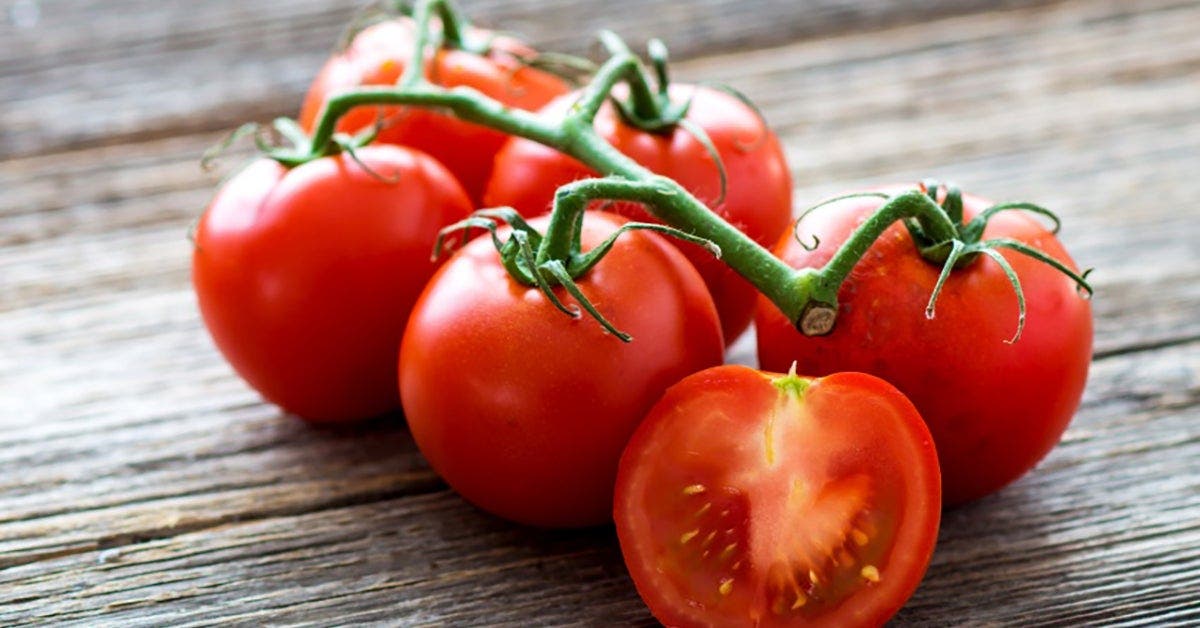 Envie de fraîcheur ? C'est le moment de faire le plein de tomates !