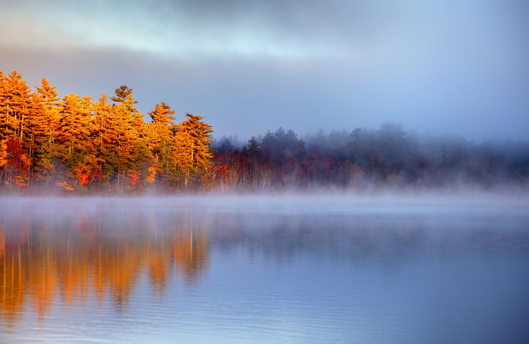  Herken de herfstblues