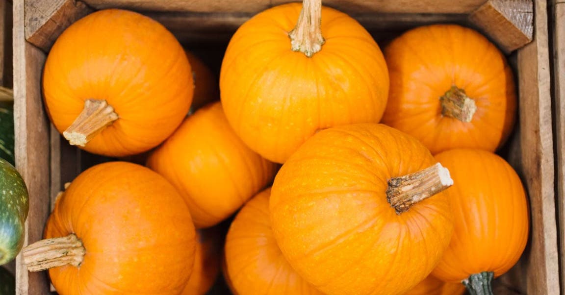 6 x de lekkerste recepten met pompoen