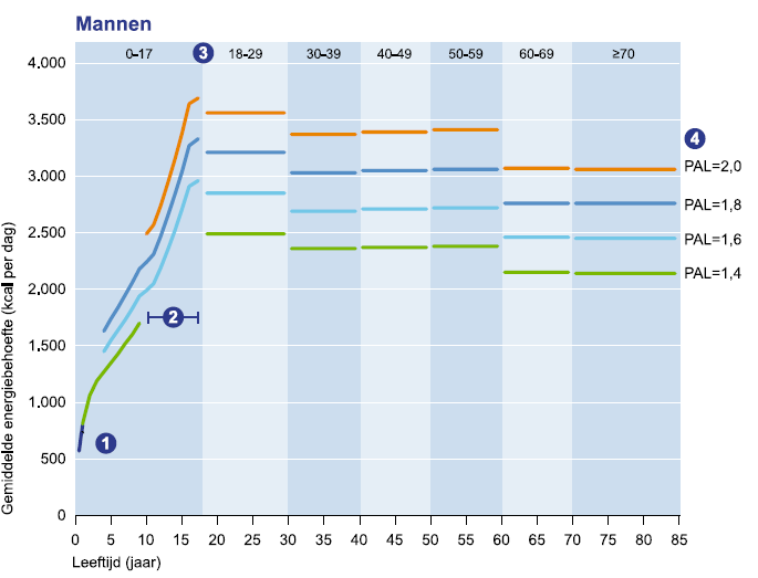 caloriebehoefte mannen