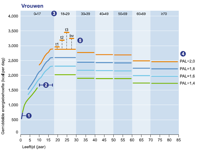 caloriebehoefte vrouwen