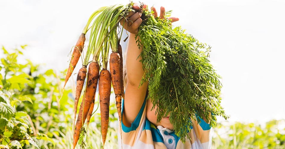 De opmars van het veganistische voedingspat­roon