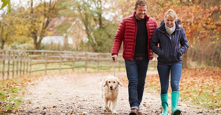 Wandelen in de herfst