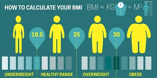 BMI chart including underweight, healthy, overweight and obese range. 