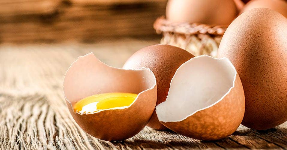 Allt om ägg