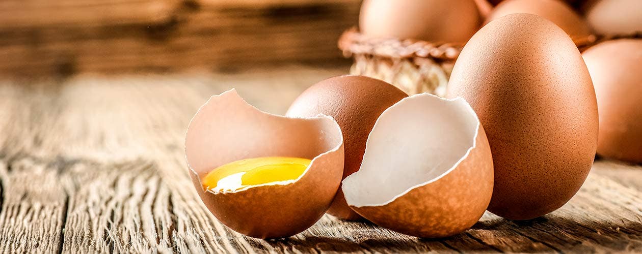 Allt om ägg
