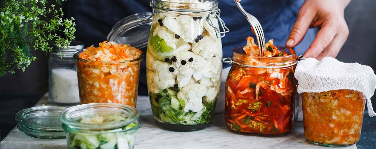 Testa fermenterad mat