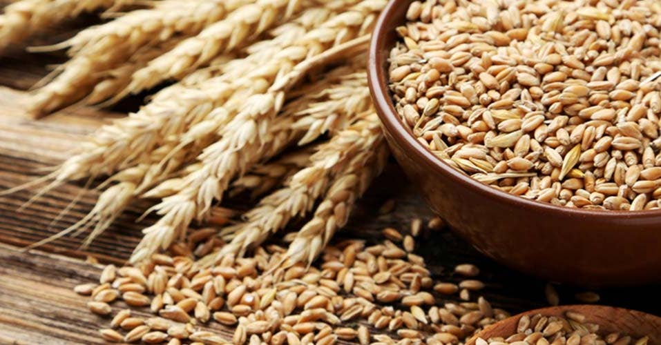 Den glutenfria trenden