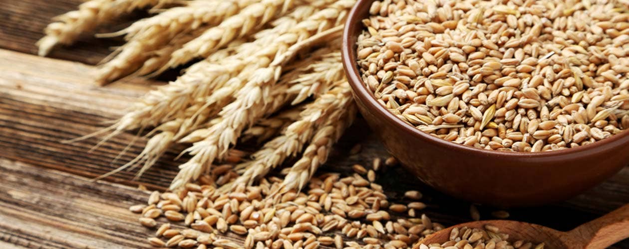 Den glutenfria trenden