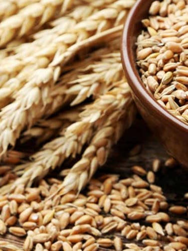 Den glutenfria trenden