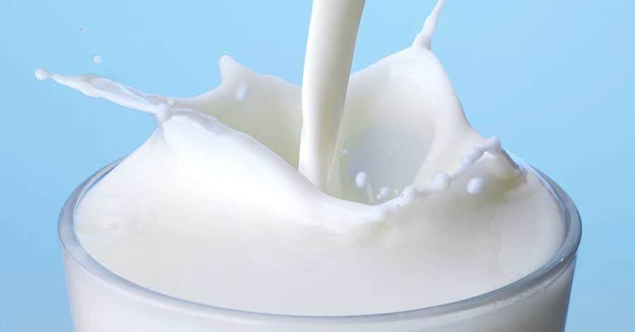 Lättprodukter – myter och fakta