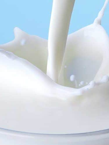 Lättprodukter – myter och fakta